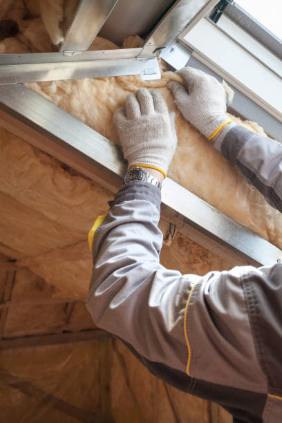Best Professional Insulation Contractor  in Rainbow Springs, FL