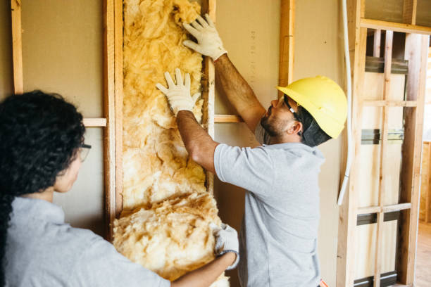 Best Affordable Insulation Services  in Rainbow Springs, FL